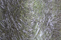 Aby fibreglass roof work